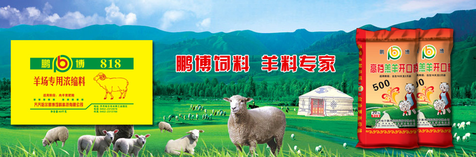 鵬博飼料，羊料專(zhuān)家